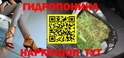 прущие крисы Канаш