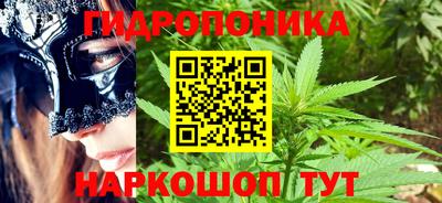 гидра Камышлов