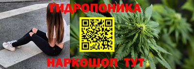 гидра Камышлов