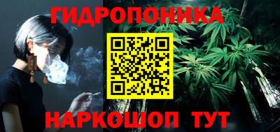 гидра Камышлов