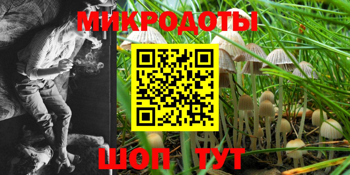 купить  сайты  Галлюциногенные грибы GOLDEN TEACHER  Вход с VPN  Кудымкар 